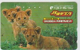 WILDCATS - JAPAN-040 - 110-016 - Jungle