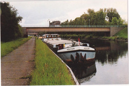 Oisquercq - Rue Du Canal - & Boat - Tubeke