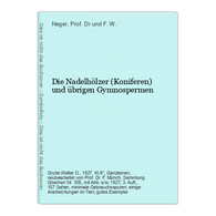 Die Nadelhölzer (Koniferen) Und übrigen Gymnospermen - Nature