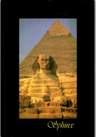 23317 - Ägypten - Sphinx - Gelaufen 2004 - Sphynx