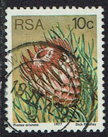 Südafrika 1977, MiNr 521A, Gestempelt - Oblitérés