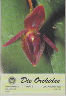 Die Orchidee Jahrgang 51 Heft 4 - Nature