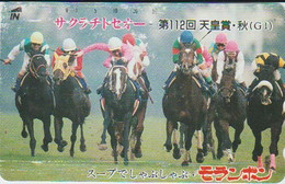 HORSE - JAPAN - H270 - 110-011 - Caballos