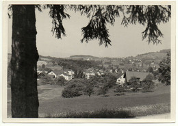 BÄRETSWIL Gel. 1949 - Bäretswil
