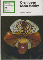 Orchideen, Mein Hobby. - Botanik