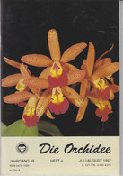 Die Orchidee Jahrgang 48 Heft 4 - Botanik