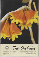 Die Orchidee Jahrgang 48 Heft 5 - Botanik