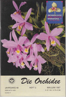 Die Orchidee Jahrgang 48 Heft 3 - Botanik