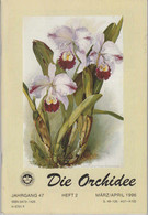 Die Orchidee Jahrgang 47 Heft 2 - Botanik