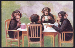 OLD CPA ** HUMANISED APES HAVING TEA - SINGES HUMANISES BUVANT DU THE ** Salmon Series 3737 - Singes