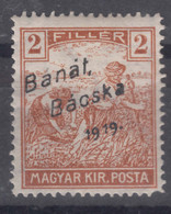 Hungary Banat Bacska 1919 Mi#6 Mint Hinged - Banat-Bacska