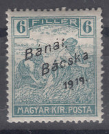 Hungary Banat Bacska 1919 Mi#9 Mint Hinged - Banat-Bacska