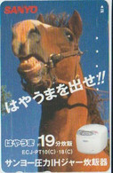 HORSE - JAPAN - V033 - 110-016 - Paarden