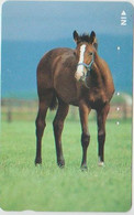 Delcampe - HORSE - JAPAN - V050 - 110-011 - Pferde