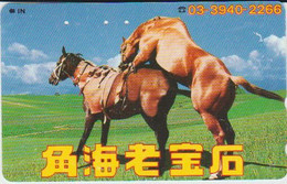 HORSE - JAPAN - H314 - 110-011 - Cavalli