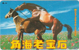 HORSE - JAPAN - H315 - 110-016 - Cavalli