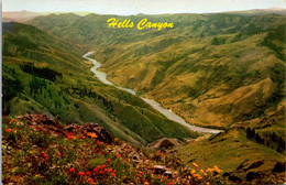 Idaho Hells Canyon Of The Snake River - Autres & Non Classés