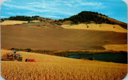 Idaho Beautiful Wheat Lands Of Palouse - Sonstige & Ohne Zuordnung