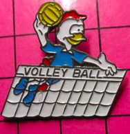 313H Pin's Pins / Beau Et Rare / THEME : SPORTS / VOLLEY-BALL PETIT COQ TRICOLORE - Voleibol