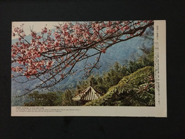 POST CARD, STEMPEL, Beautiful, UNUSED, LIST 2399 - Taiwan