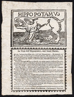 Hippopotamus. La Virtu Dell'Hippopotamo, Over Caval Marino. - Rarezas