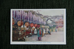 JAPON - Glycines Au Temple De KAMEIDO à TOKYO - Kyoto