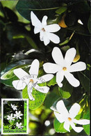 ► POLYNESIE FRANCAISE  Carte Maximum Papeete 1990 - Tiare De Tahiti  YT N° 372 - Cartoline Maximum