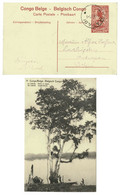 Belgisch Congo Belge Entier Postal Postwaardestuk 1921 (?) Cachet MATADI - La Lukula. Arbre à Copal - Entiers Postaux