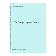 Wie Europa Begann. Band 9 - Contemporary Politics
