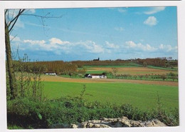 AK 022167 BELGIUM - Vlaamse Ardennen - Landschap I - De Sponde Nukerke - Maarkedal