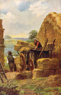 Trussing The Hay Kentish Pastures Illustration Couleur De Harry Payne Pour Raphaël Tuck Oilette 9222 - Andere Illustrators