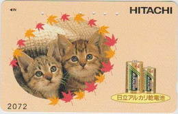 CATS - JAPAN - H001 - 110-016 - Cats