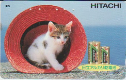 CATS - JAPAN - H002 - 110-016 - Cats