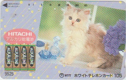 CATS - JAPAN - H004 - 110-011 - Gatos