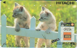 CATS - JAPAN - H012 - 110-011 - Gatos