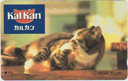 CATS - JAPAN - H022 - 110-011 - Gatti