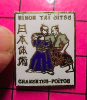313f Pin's Pins / Beau Et Rare / THEME : SPORTS / JUDO CHARENTES POITOU NIHON TAÏ JITSU - Judo