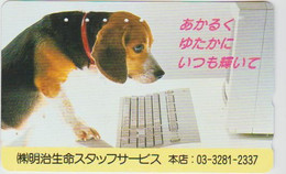 DOGS - JAPAN-034 - 110-016 - Hunde