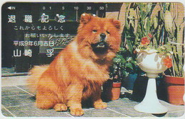 DOGS - JAPAN-039 - 110-016 - Chiens