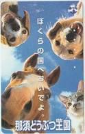 DOGS - JAPAN-041 - 110-016 - CAT - Chiens
