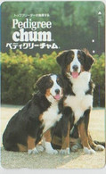 DOGS - JAPAN-043 - 110-011 - PEDIGREE - Dogs
