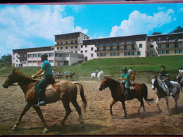 12 - LAGUIOLE - Le Foyer Ecole Et Neige. (Equitation / Chevaux) - Laguiole