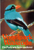 Vogelpark Walsrode : Ein Park Wie Kein Anderer. - Sonstige & Ohne Zuordnung