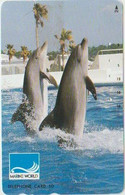 DOLPHINE - JAPAN-019 - 390-2628 - Dolphins