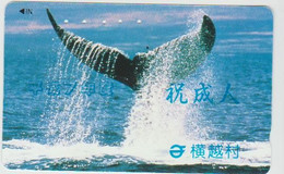 WHALE - JAPAN-013 - 110-011 - Vissen