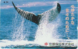 WHALE - JAPAN-014 - 110-016 - Fische