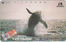 WHALE - JAPAN-015 - 110-011 - Pesci