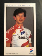 Orlando Rodrigues - Banesto - 1996 -  Carte / Card - Cyclists - Cyclisme - Ciclismo -wielrennen - Cyclisme