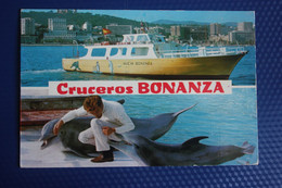 Cruzeros Bonanza - Dolphin - Spanish Postcard - Delfines