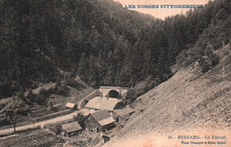 8045 BUSSANG  Le Tunnel   (Frontière Limite Territoire Français )           (scan Recto-verso) 88 Vosges - Bussang